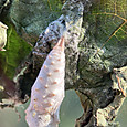 Img_1681