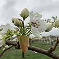 Img_5889