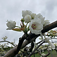 Img_5890