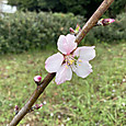 Img_5896