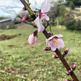 Img_5897