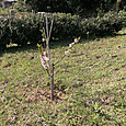 Img_5949