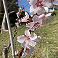 Img_5950