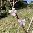 Img_5951