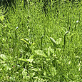 Img_6627_2