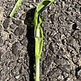 Img_6638_2