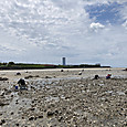 Img_6617