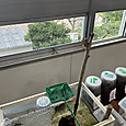 Img_8205