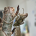 Img_8216