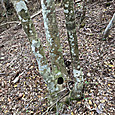 Img_6557