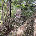 Img_6536
