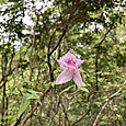 Img_6539