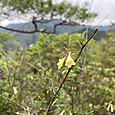 Img_6544