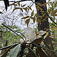 Img_6580