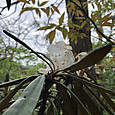 Img_6581