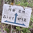 Img_6597_2