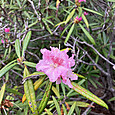 Img_6611