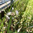 Img_6736