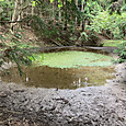 Img_7576