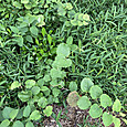 Img_6773_3