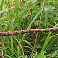 Img_8502