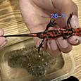 Img_8479_3