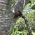 Img_6894