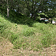 Img_6896