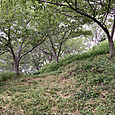 Img_7140