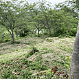 Img_7144