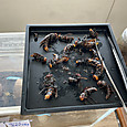 Img_8271_2