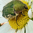 Img_8837