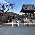 Img_4513
