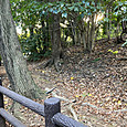 Img_4517