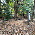 Img_4518