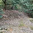 Img_5090