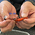 Img_8898_2