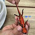 Img_8969_2