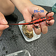 Img_8976_2
