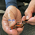 Img_8900
