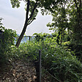 Img_7309
