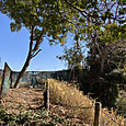 Img_9046_2