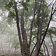 Img_1936