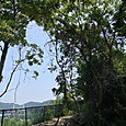 Img_7465
