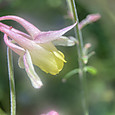 Img_1976