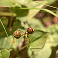 Img_1993_2