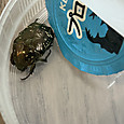 Img_9039