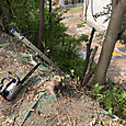 Img_7501_2