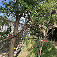 Img_7503