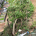 Img_9157